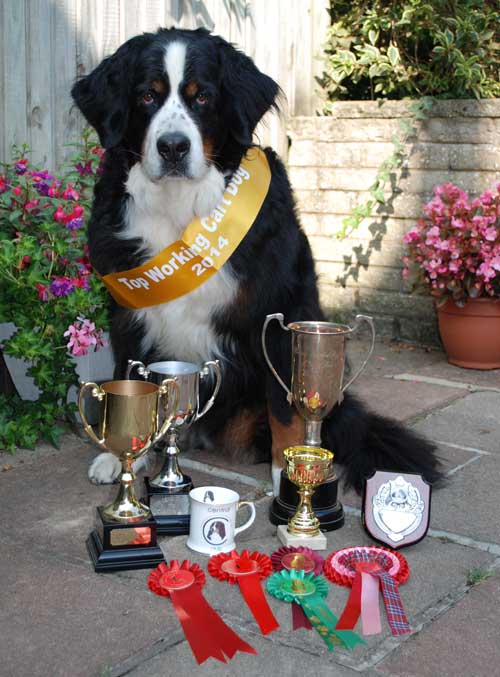 Asti with her 2014 Carting Awards