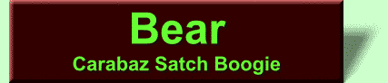 Bear's Web Page