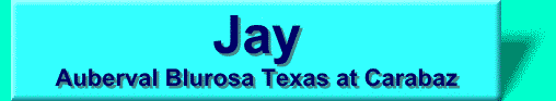 Jay's Web page