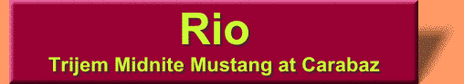 Rio's Web page